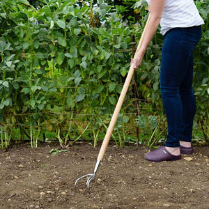 Kent & Stowe Stainless Steel Long Handled 3 Prong Cultivator image 1