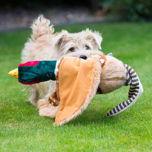 House of Paws Plush Pheasant Dog Toy image 1