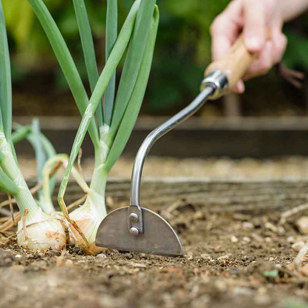 Kent & Stowe Stainless Steel Hand Onion Hoe image 1