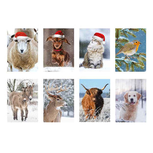 Ling Design Big Value Box - Christmas Animals (Pack of 24) image 0
