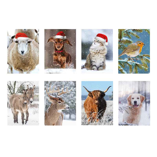 Ling Design Big Value Box - Christmas Animals (Pack of 24) image 0