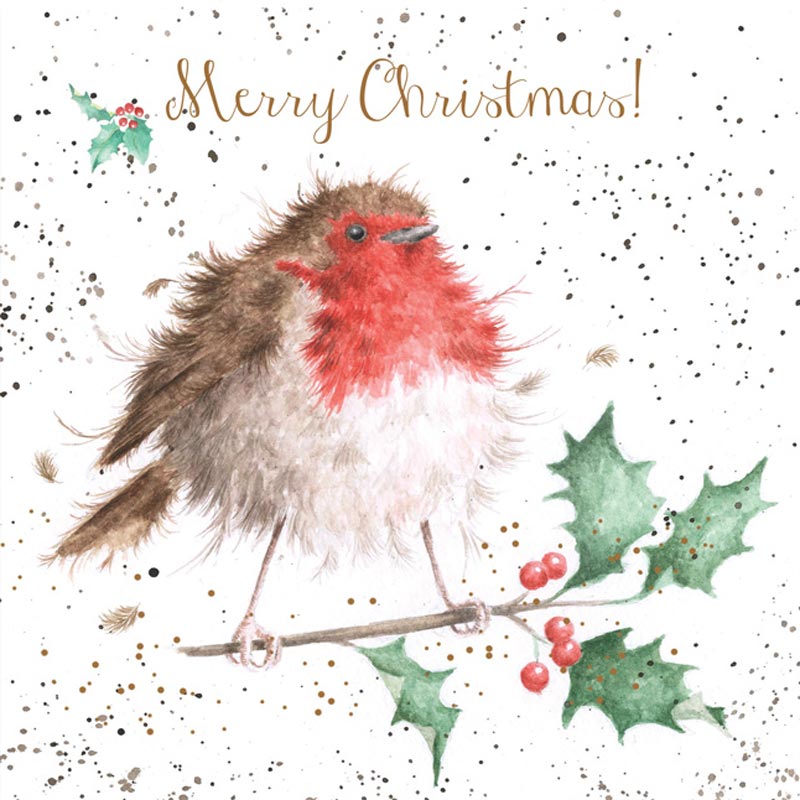 Wrendale Designs Boxed Cards - The Jolly Robin (Pack of 8) image 0