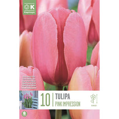 Tulip ‘Pink Impression’ (10 Bulbs) image 0
