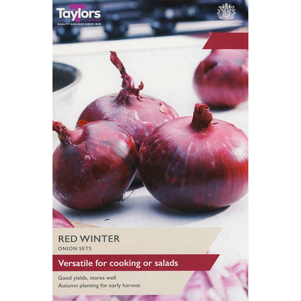 'Red Winter' Onion Sets (50 Bulbs) image 0