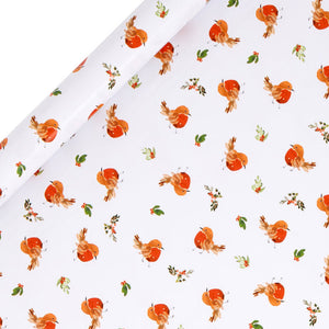 Glick Resplendent Robins Gift Wrap (4m) image 0