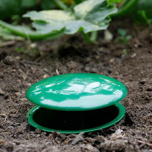 Westland Growing Success Slug & Snail Trap image 2