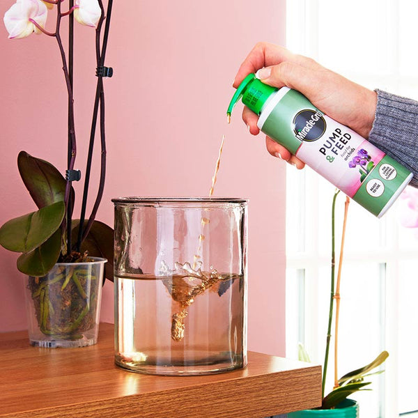 Miracle-Gro Pump & Feed for Orchids (200ml) image 2