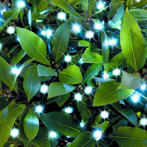 Cole & Bright 100 White LED String Lights image 1