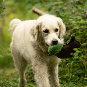 Petface Salina Squirrel Dog Toy image 6