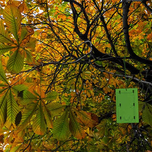 Defenders Horse Chestnut Leaf Miner Pheromone Traps (Pack of 2) image 2