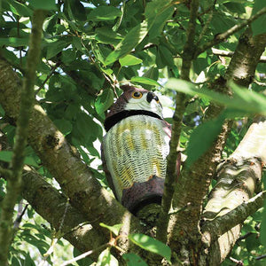 The Big Cheese Wind-Action Garden Owl Pest Deterrent image 4
