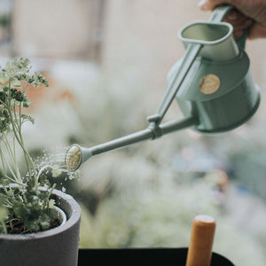Haws The Langley Sprinkler Indoor Watering Can (1 Pint) image 8
