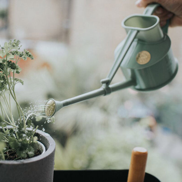 Haws The Langley Sprinkler Indoor Watering Can (1 Pint) image 8