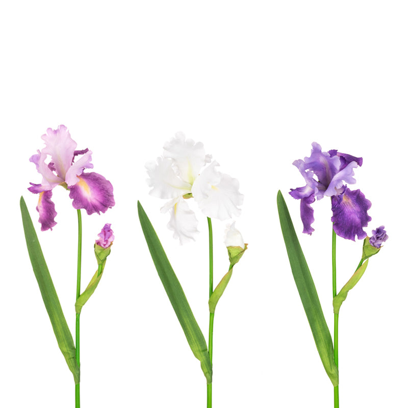 Floralsilk Flag Iris Stem (90cm) image 0