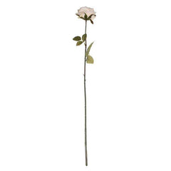 Cream Vintage Rose Stem (75cm) image 0