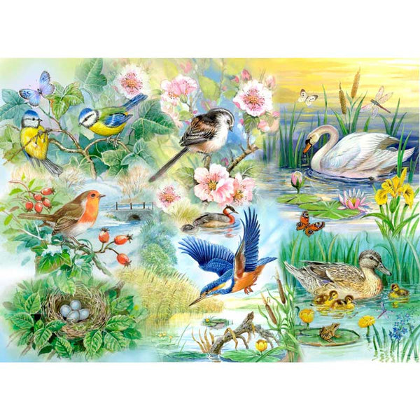 House Of Puzzles Feathered Friends Big 250 Piece Jigsaw Puzzle image 0