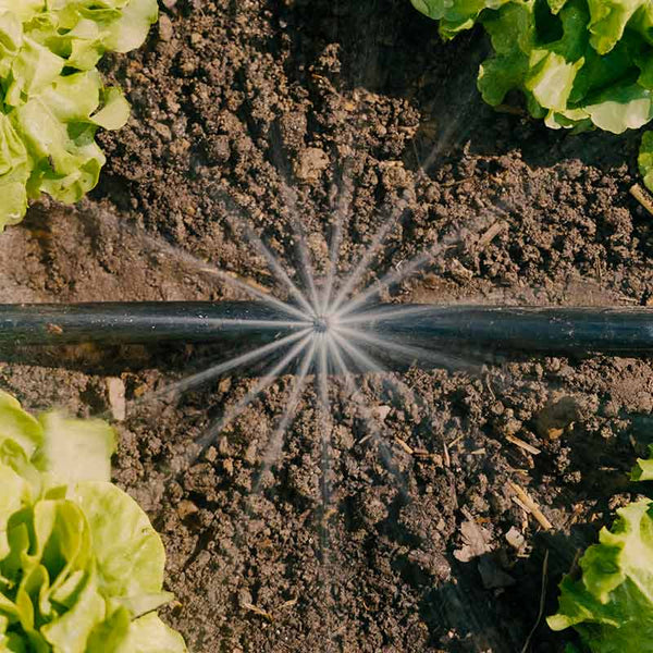 GARDENA Micro-Drip Irrigation System for Raised Beds & Flower Beds (35 plants) image 2