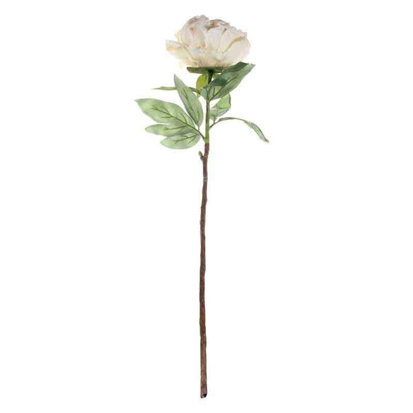 Single Cream Peony Stem (71cm) image 2