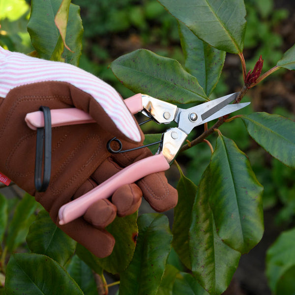 Burgon & Ball The Collector Range Blush Flower Snips image 3