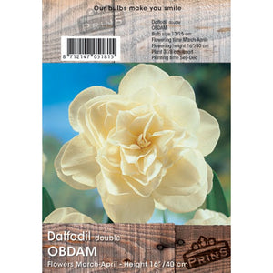 Narcissus ‘Obdam’ Double Daffodil (3kg Bag of Bulbs) image 0