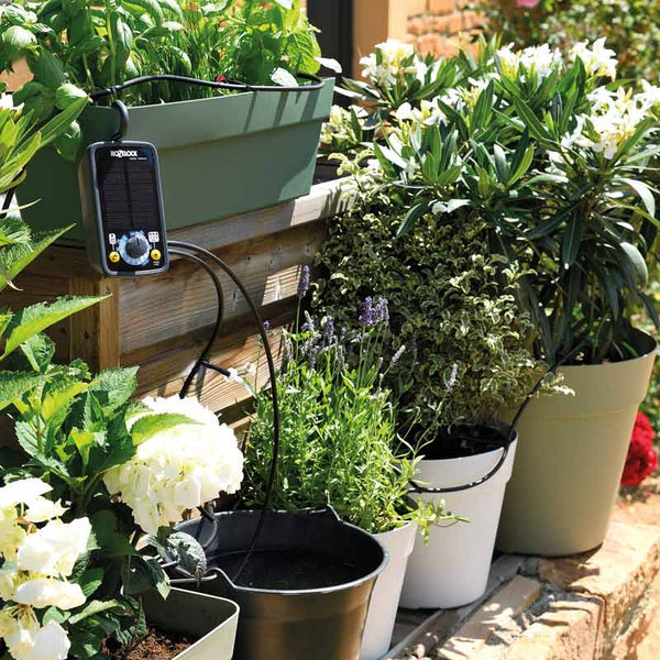 Hozelock Solar Select Irrigation Kit (20 Potted Plants) image 2