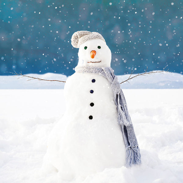 Ling Design Charity Christmas Cards - Proud Snowman (Pack of 6) image 0