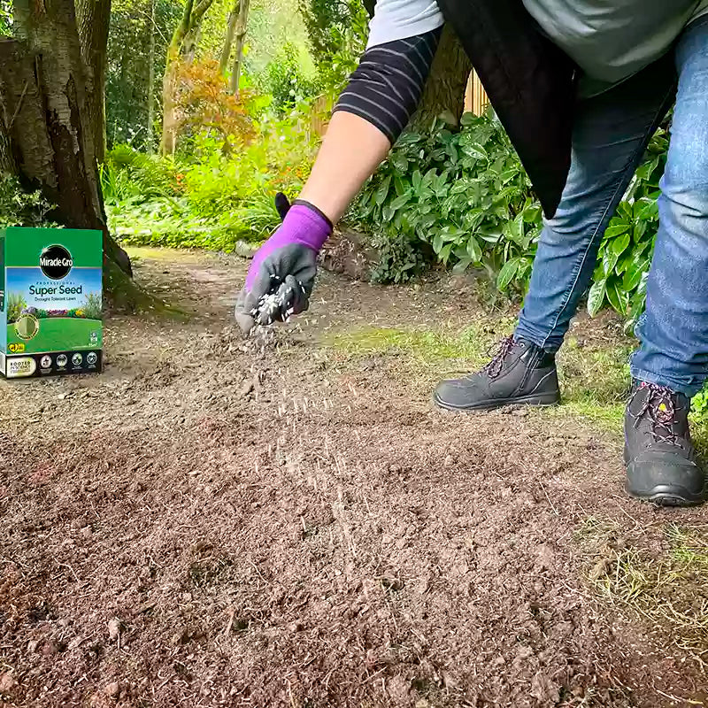 Miracle-Gro Professional Super Seed for Drought Tolerant Lawns image 0