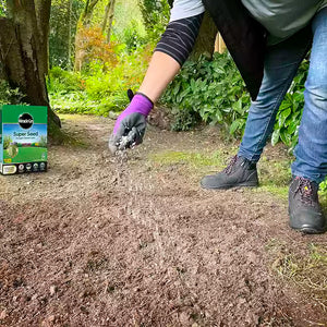 Miracle-Gro Professional Super Seed for Drought Tolerant Lawns image 1