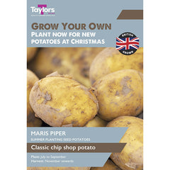 ‘Maris Piper’ Christmas Harvest Summer Planting Seed Potatoes (Pack of 10) image 0