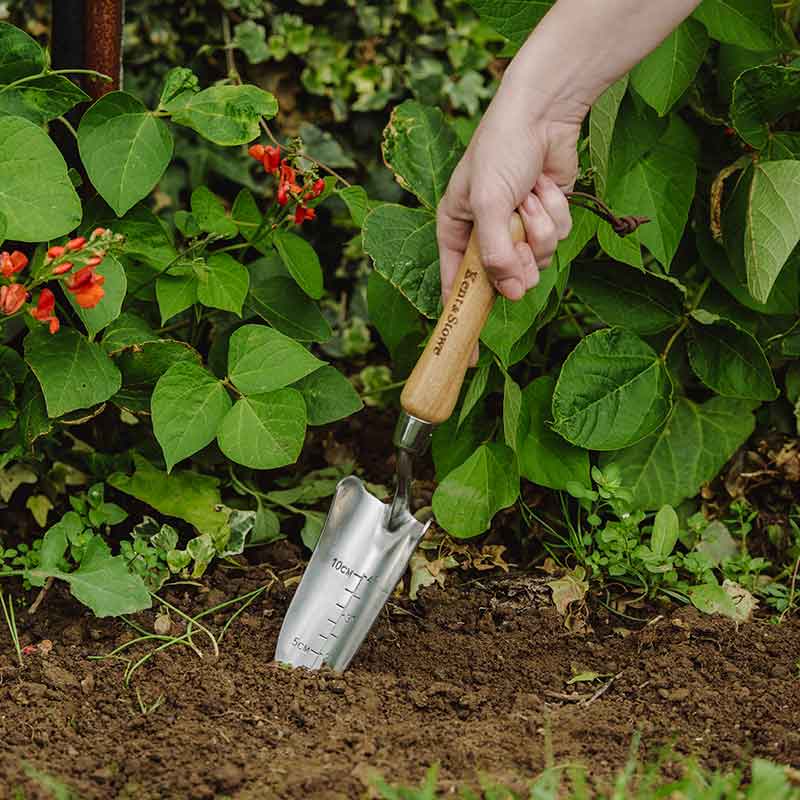 Kent & Stowe Stainless Steel Hand Transplanting Trowel image 0