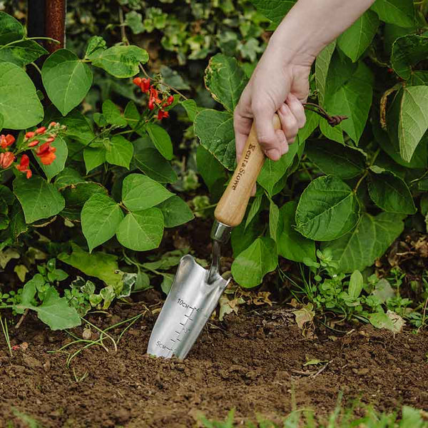 Kent & Stowe Stainless Steel Hand Transplanting Trowel image 1