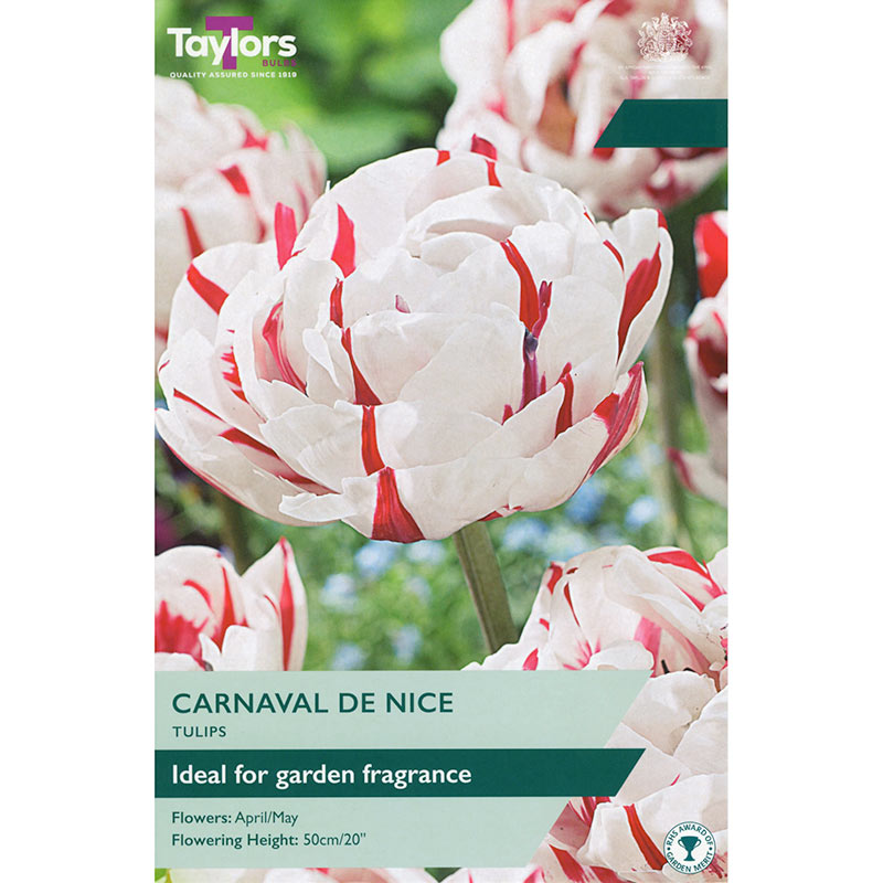 Tulip ‘Carnaval de Nice’ (5 Bulbs) image 0
