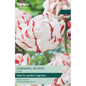 Tulip ‘Carnaval de Nice’ (5 Bulbs) image 0