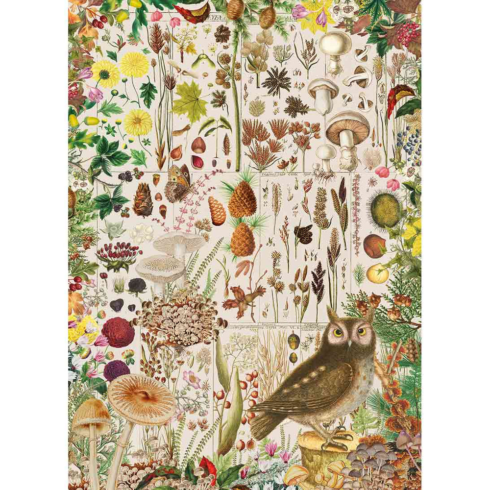 Gibsons RHS: Fall Flora 1000 Piece Puzzle image 0