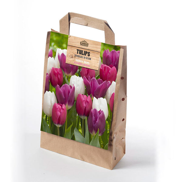 Double Tulip White and Pink Mix in a Gift Bag (20 Bulbs) image 0