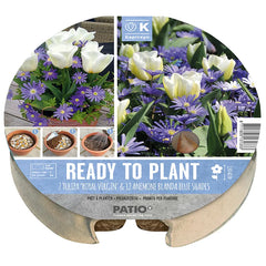 Ready to Plant Plant-O-Mat Tulip & Anemone 24cm/9.5" (19 bulbs) image 0
