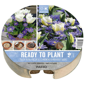 Ready to Plant Plant-O-Mat Tulip & Anemone 24cm/9.5" (19 bulbs) image 0