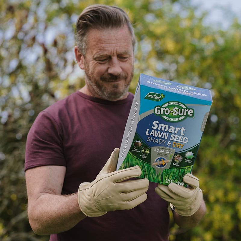 Westland Gro-Sure Smart Lawn Seed Shady & Dry - 20m sq. image 0