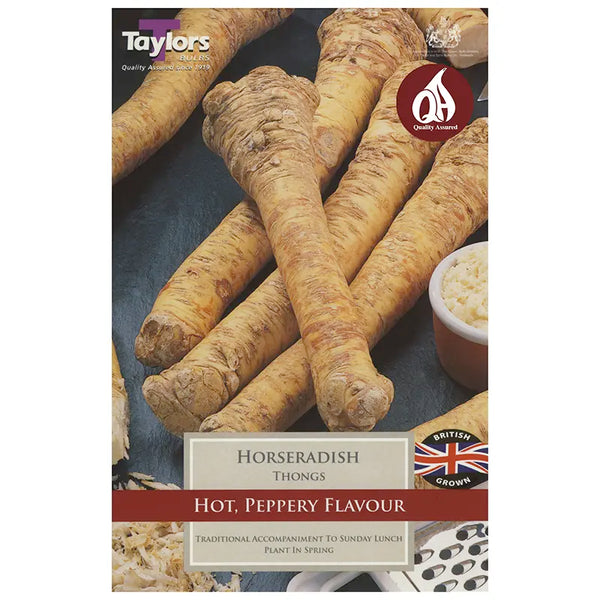 Horseradish Thongs image 0