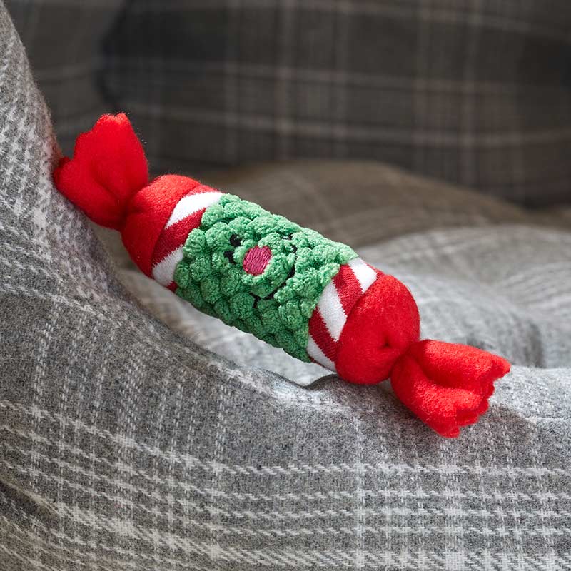 Zoon Nip-It Catnip Cracker image 0