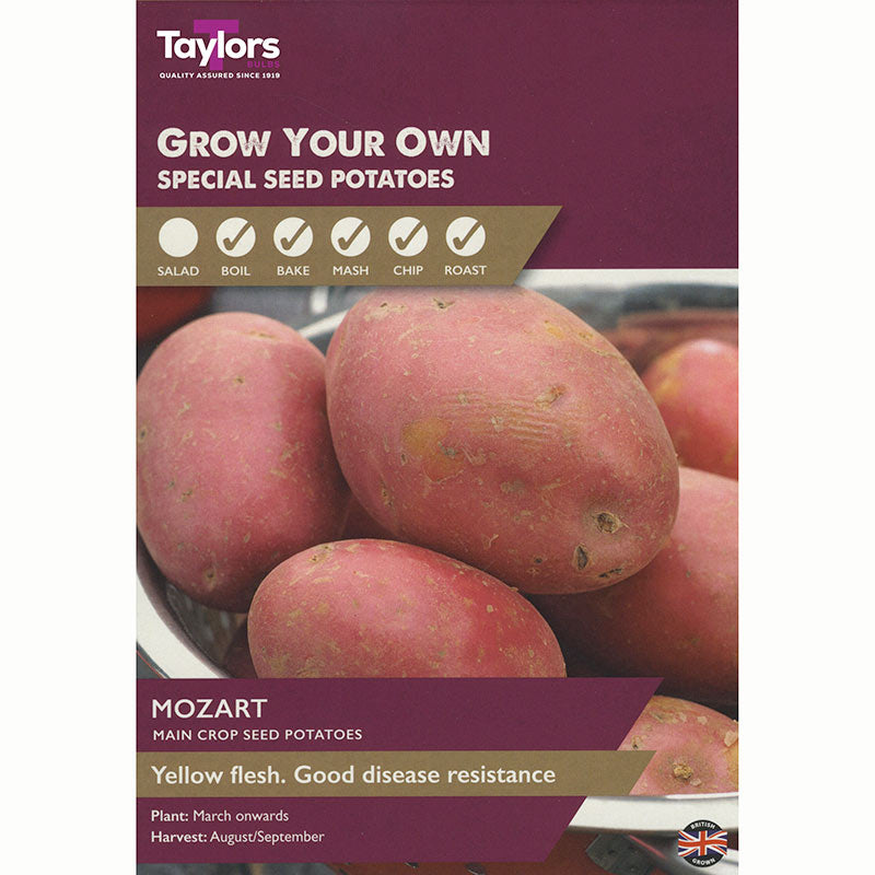 Mozart Main Crop Seed Potatoes (Taster Pack of 8) image 0