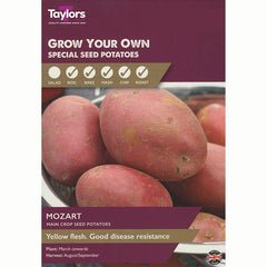 Mozart Main Crop Seed Potatoes (Taster Pack of 8) image 0