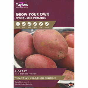 Mozart Main Crop Seed Potatoes (Taster Pack of 8) image 0