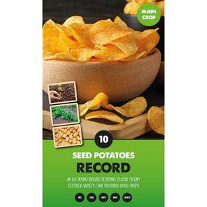 Record Main Crop Seed Potatoes - Pack of 10 image