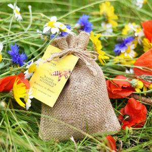 Native Wildflower Seedballs (Mix of 18 wildflower species) image 0