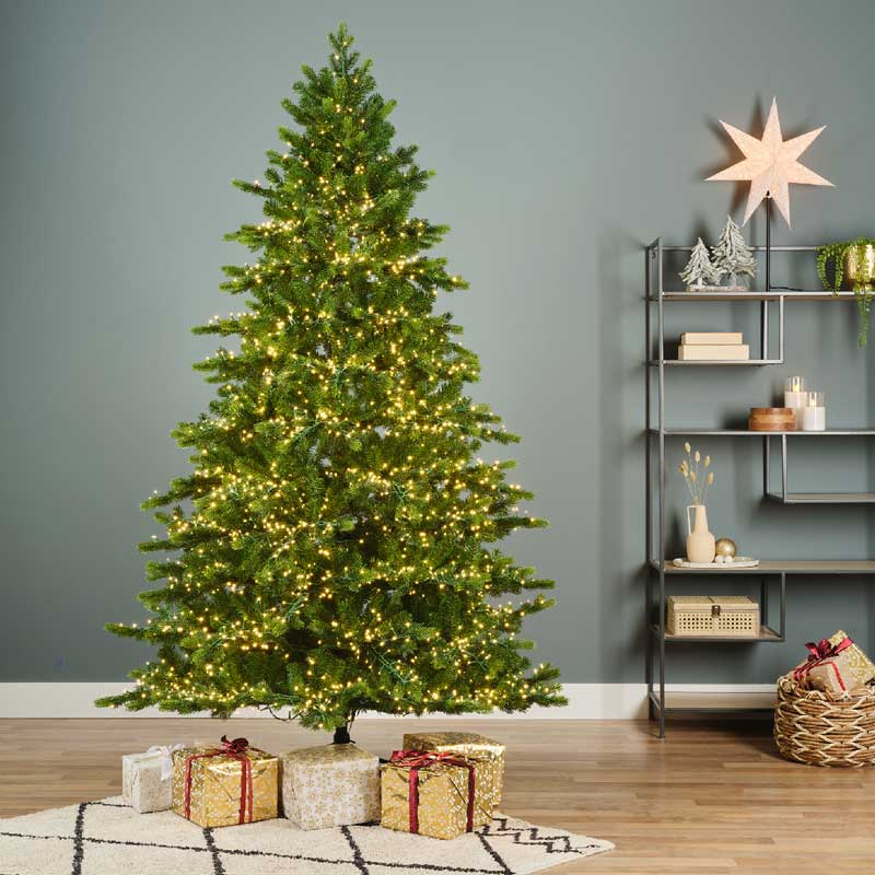 Everlands Galloway Spruce / Denver Spruce Pre-Lit Christmas Tree - 6ft image 0