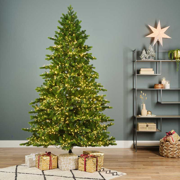 Everlands Galloway Spruce / Denver Spruce Pre-Lit Christmas Tree - 6ft image 0