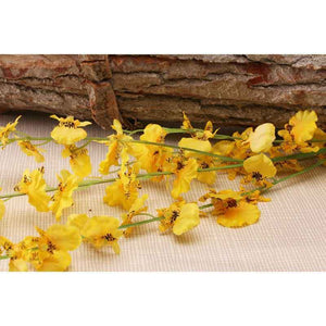 Yellow Dancing Orchid Stem (88cm) image 1