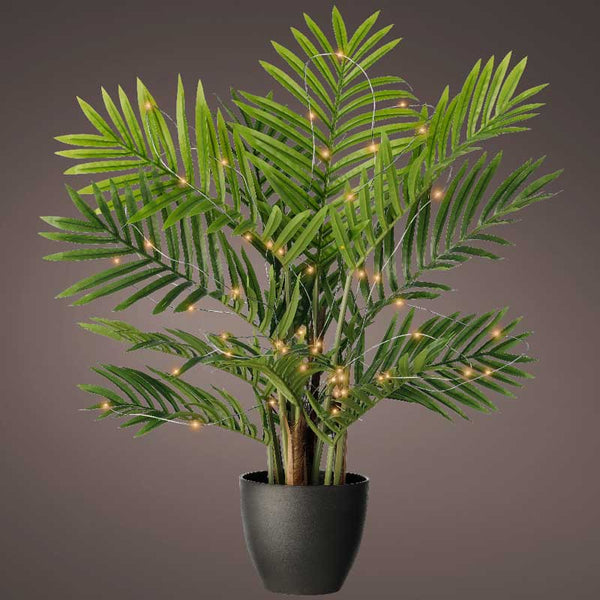 Lumineo 40 Micro LED Plant Lights - Classic Warm image 0