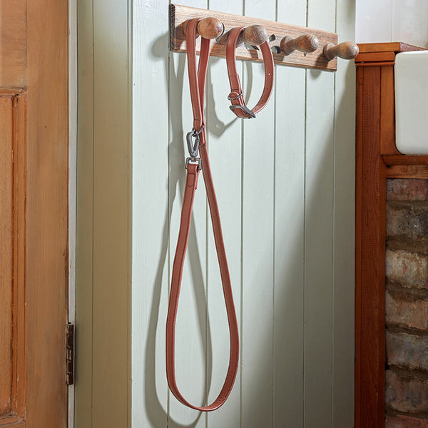 Zoon Luxe Leather Tan WalkAbout Dog Lead image 2